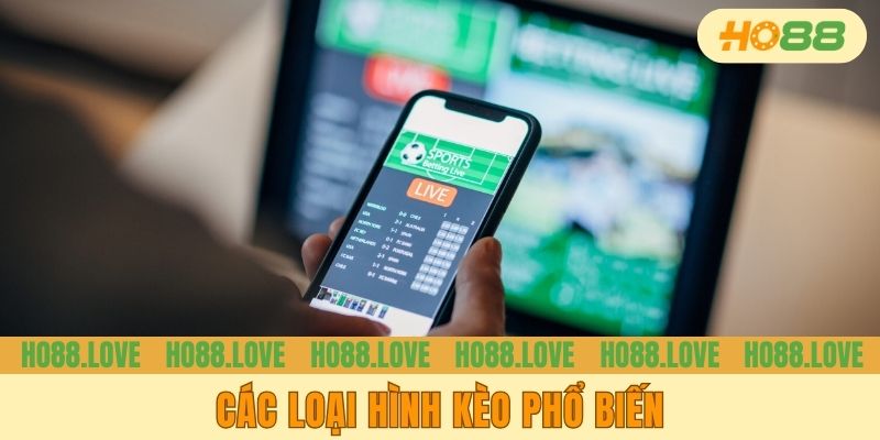 Các loại hình kèo phổ biến