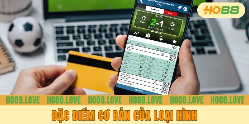 Đặc điểm cơ bản của loại hình