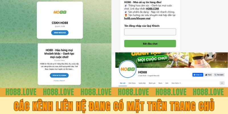 Các kênh liên hệ đang có mặt trên trang chủ