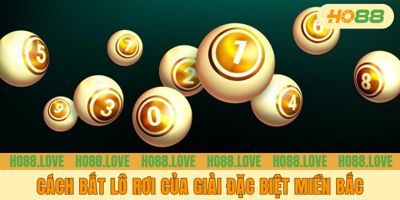Cách Bắt Lô Rơi Của Giải Đặc Biệt Miền Bắc Chuẩn Cho Newbie