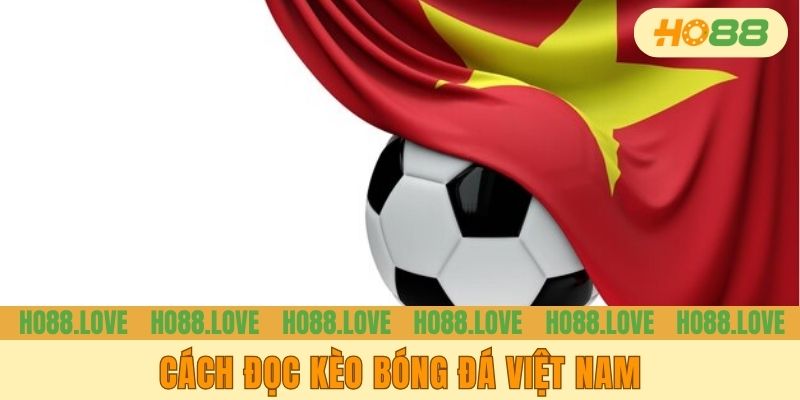 Cách Đọc Kèo Bóng Đá Việt Nam Chuẩn, Không Lo Xa Bờ