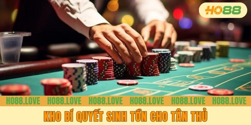 Kho bí quyết sinh tồn cho tân thủ