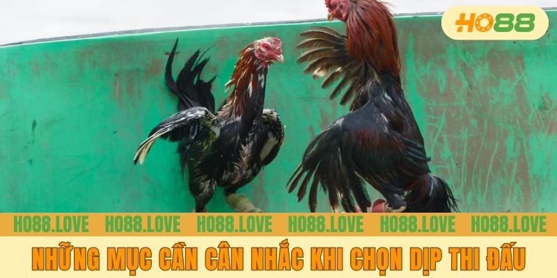 Những mục cần cân nhắc khi chọn dịp thi đấu
