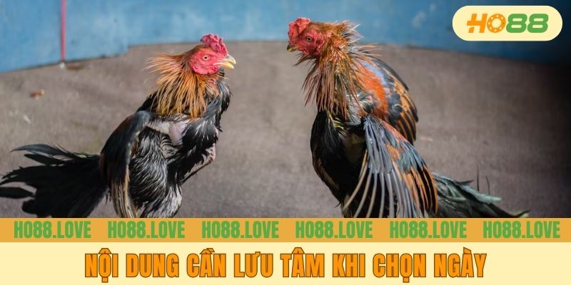 Nội dung cần lưu tâm khi chọn ngày