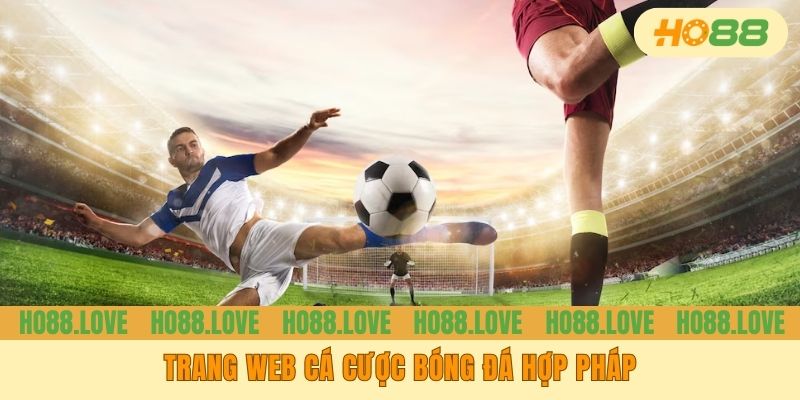 Trang Web Cá Cược Bóng Đá Hợp Pháp - Bến Đỗ Cho Các Tay Chơi